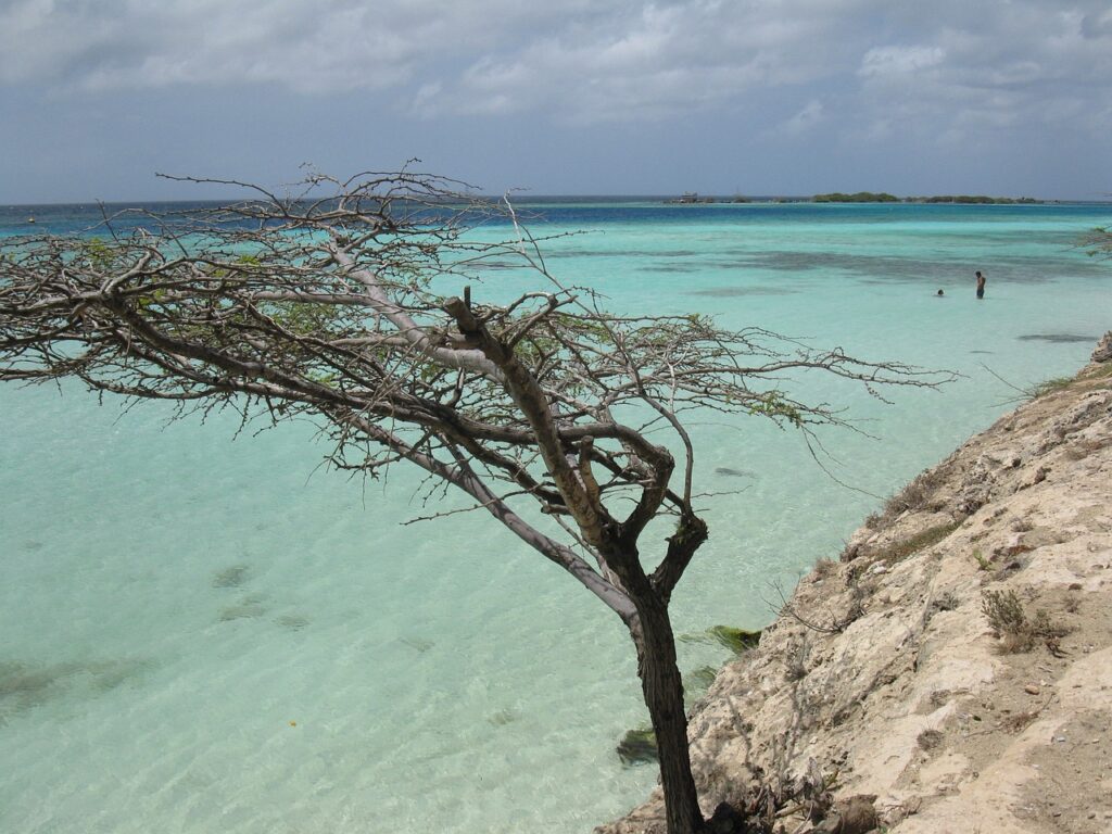 viator aruba utv tour